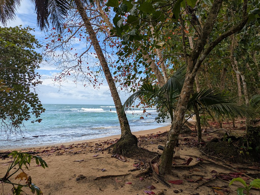 Gandoca-Manzanilla Nationalpark