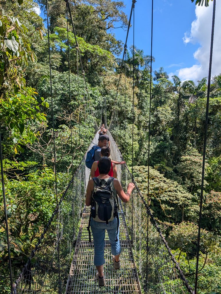 Der Misticopark Hanging Bridges