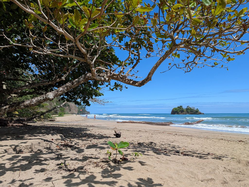 Sandstrand der Playa Cocles